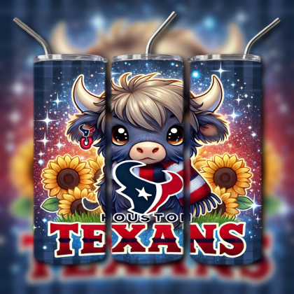 NFL Team Tumbler Houston Texans v2